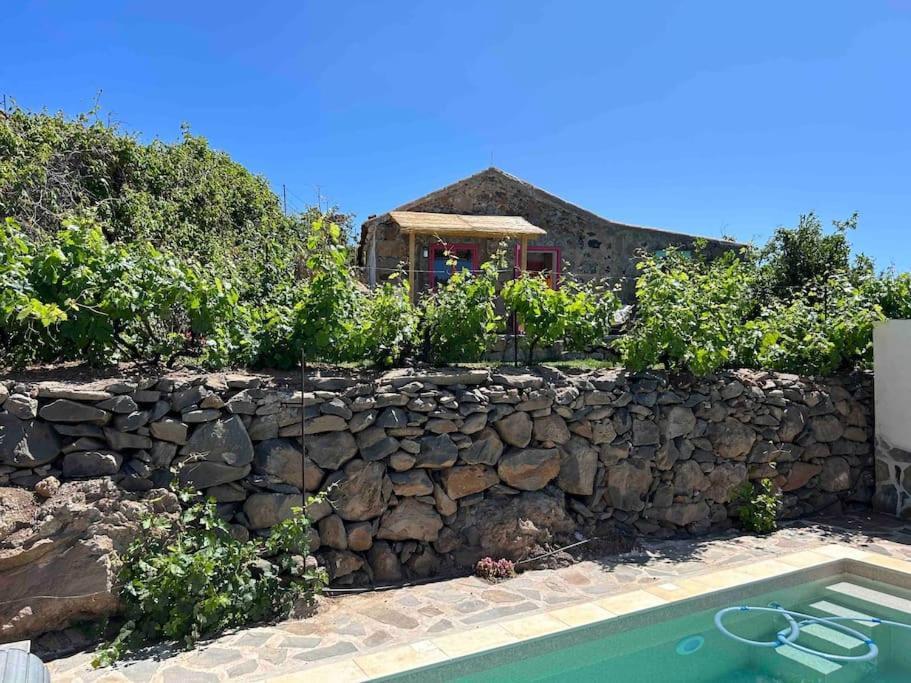 Lilly'S Finca - Romantischter Rueckzugsort - Pool Vilaflor Eksteriør billede