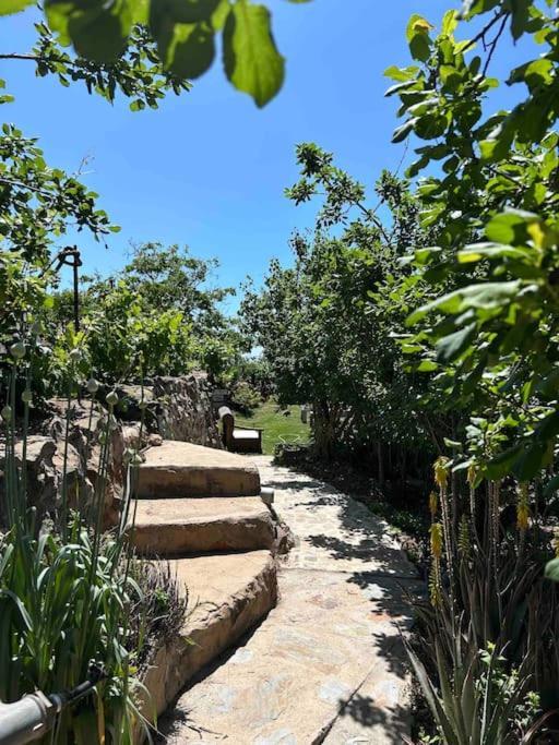 Lilly'S Finca - Romantischter Rueckzugsort - Pool Vilaflor Eksteriør billede