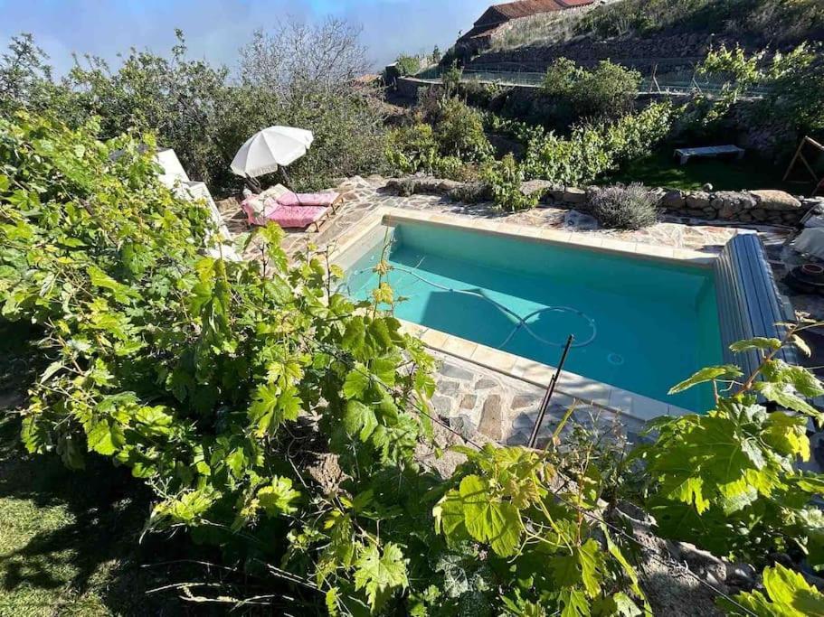 Lilly'S Finca - Romantischter Rueckzugsort - Pool Vilaflor Eksteriør billede