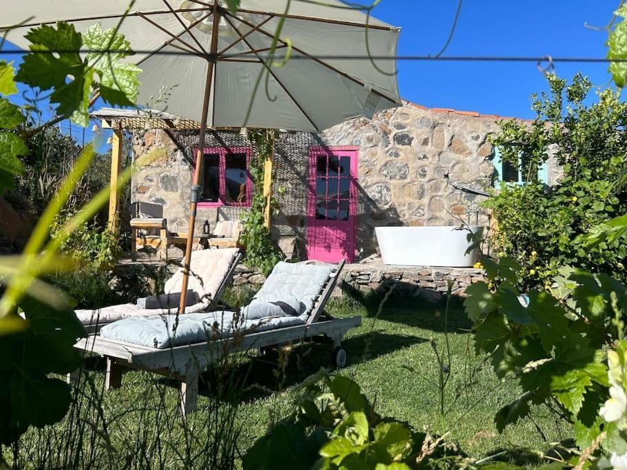 Lilly'S Finca - Romantischter Rueckzugsort - Pool Vilaflor Eksteriør billede