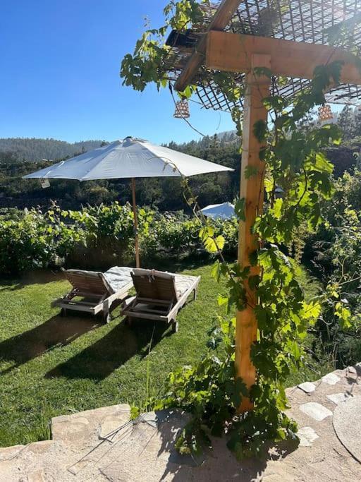 Lilly'S Finca - Romantischter Rueckzugsort - Pool Vilaflor Eksteriør billede