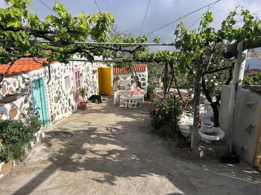 Lilly'S Finca - Romantischter Rueckzugsort - Pool Vilaflor Eksteriør billede
