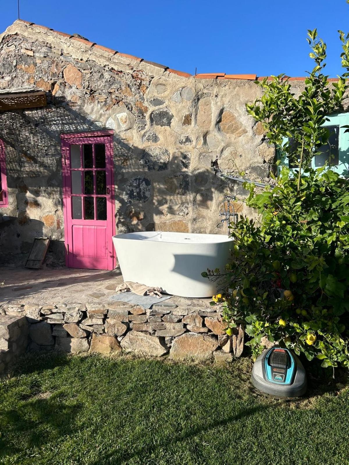 Lilly'S Finca - Romantischter Rueckzugsort - Pool Vilaflor Eksteriør billede